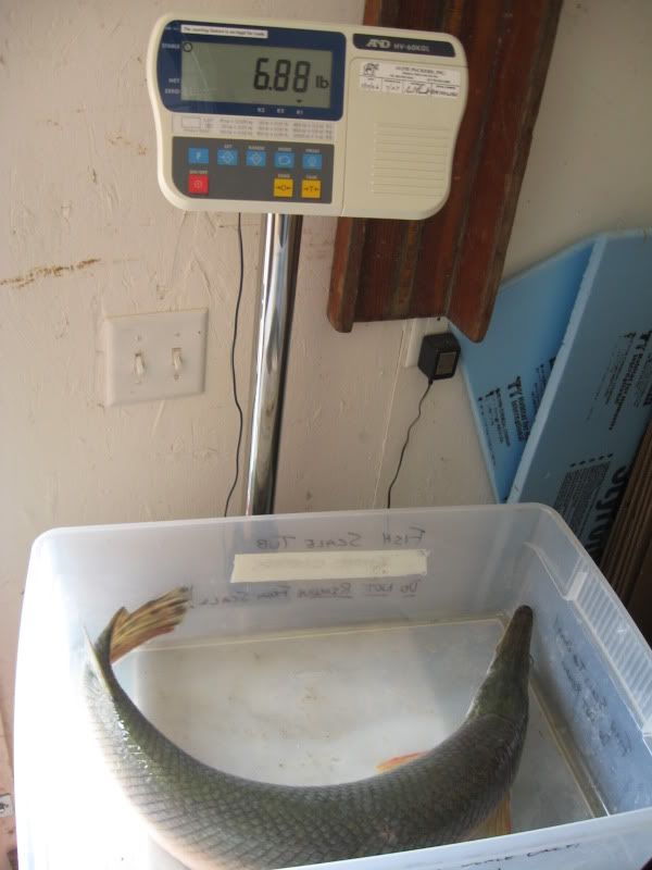 New Nebraska State Record and World Record Fish! Hunting Nebraska